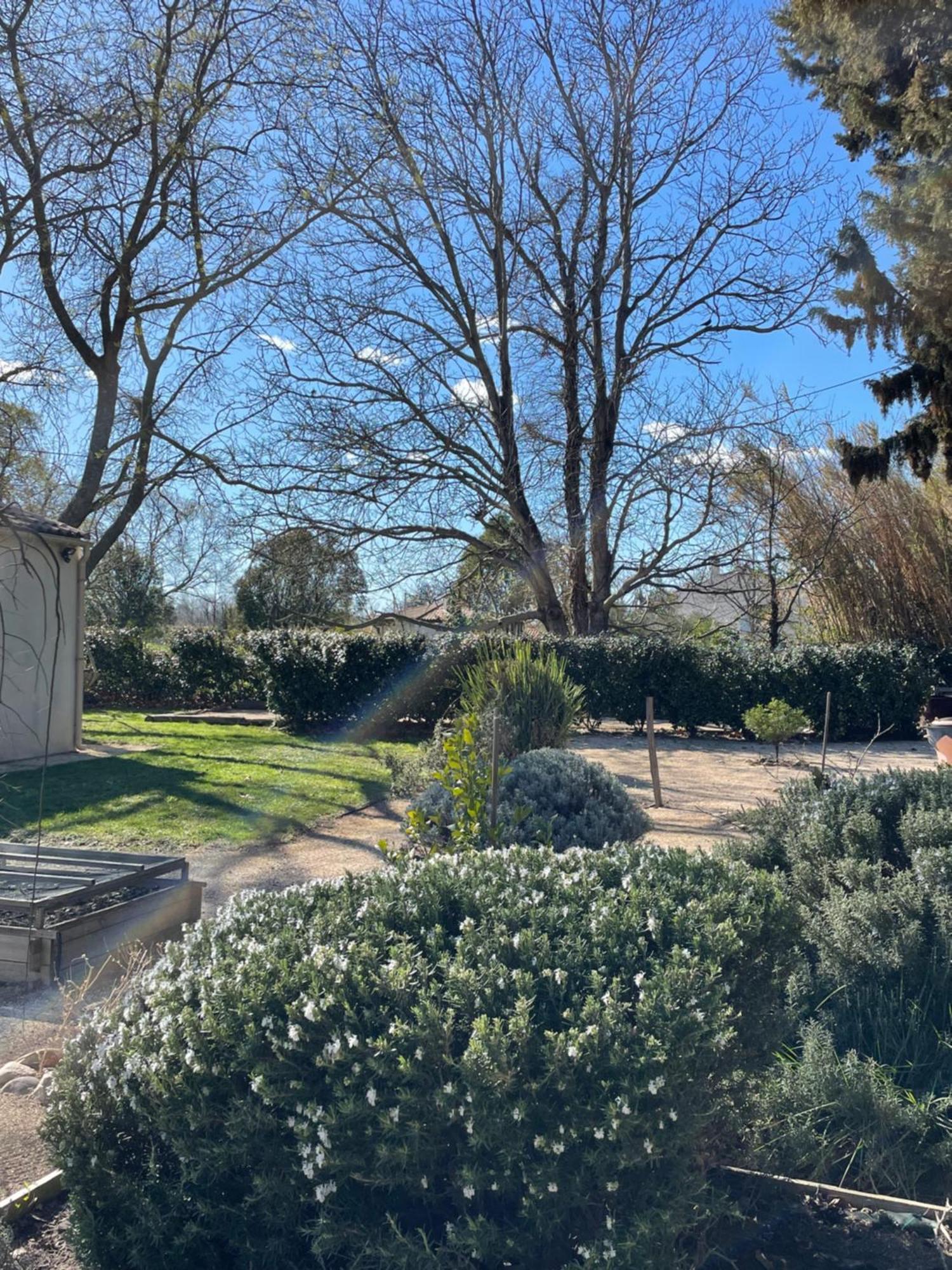 Arles Campagne Location "La Campagn'Arles" Bed & Breakfast Dış mekan fotoğraf